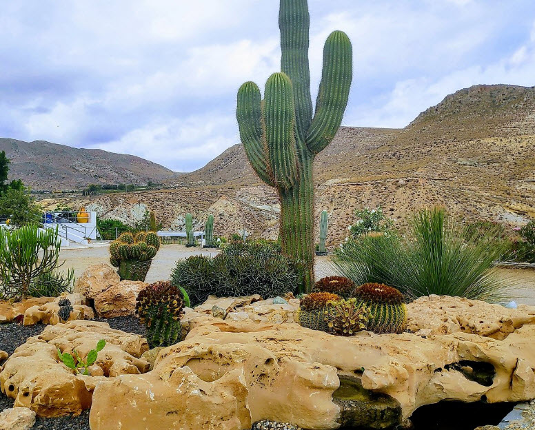 Área de los Cactus y las Crasas, Spain